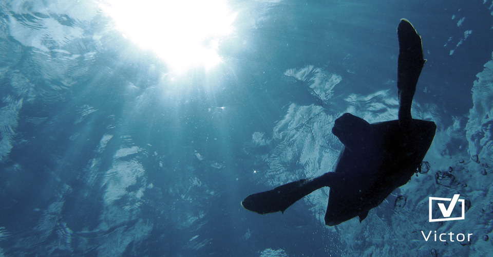 Victor